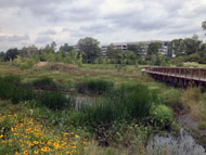 MWRA - Alewife Brook Reservation