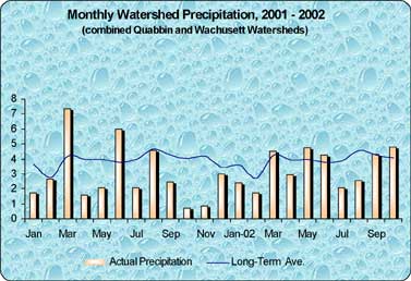 preciptiation graph