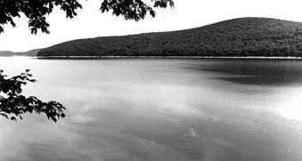 quabbin reservoir bw