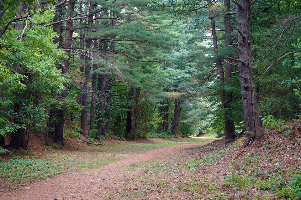 Natick Trail