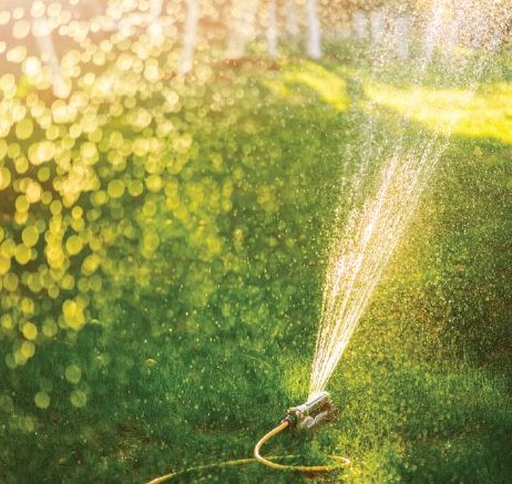 lawn sprinkler