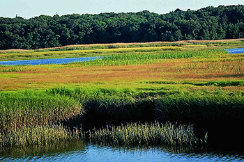 Neponset River page